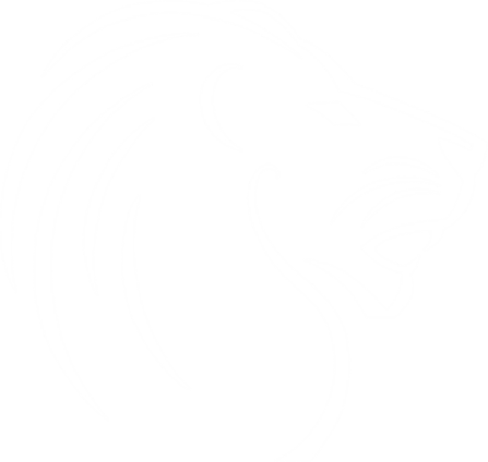 The Lion Pub The Lion Pub